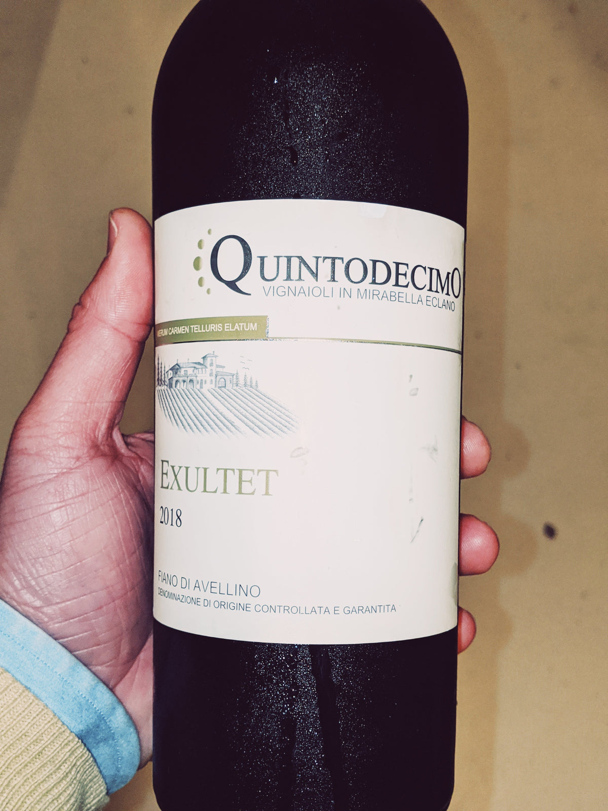 Wine Review: Quintodecimo, Fiano di Avellino, 2018