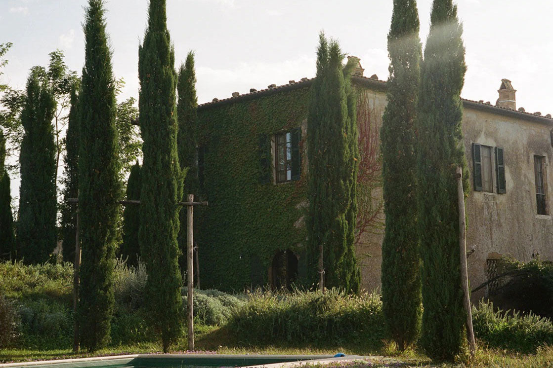 P Johnson's Guide to Maremma Tuscany