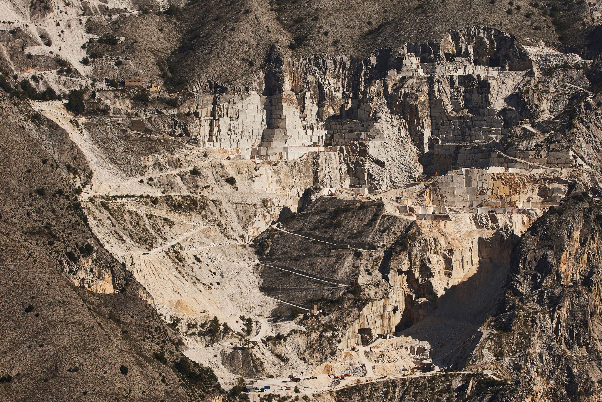 Carrara Rich Stapleton