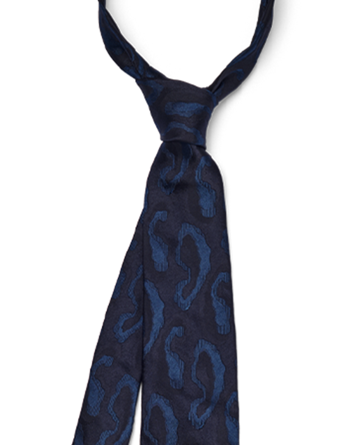 Abstract Paisley - Navy