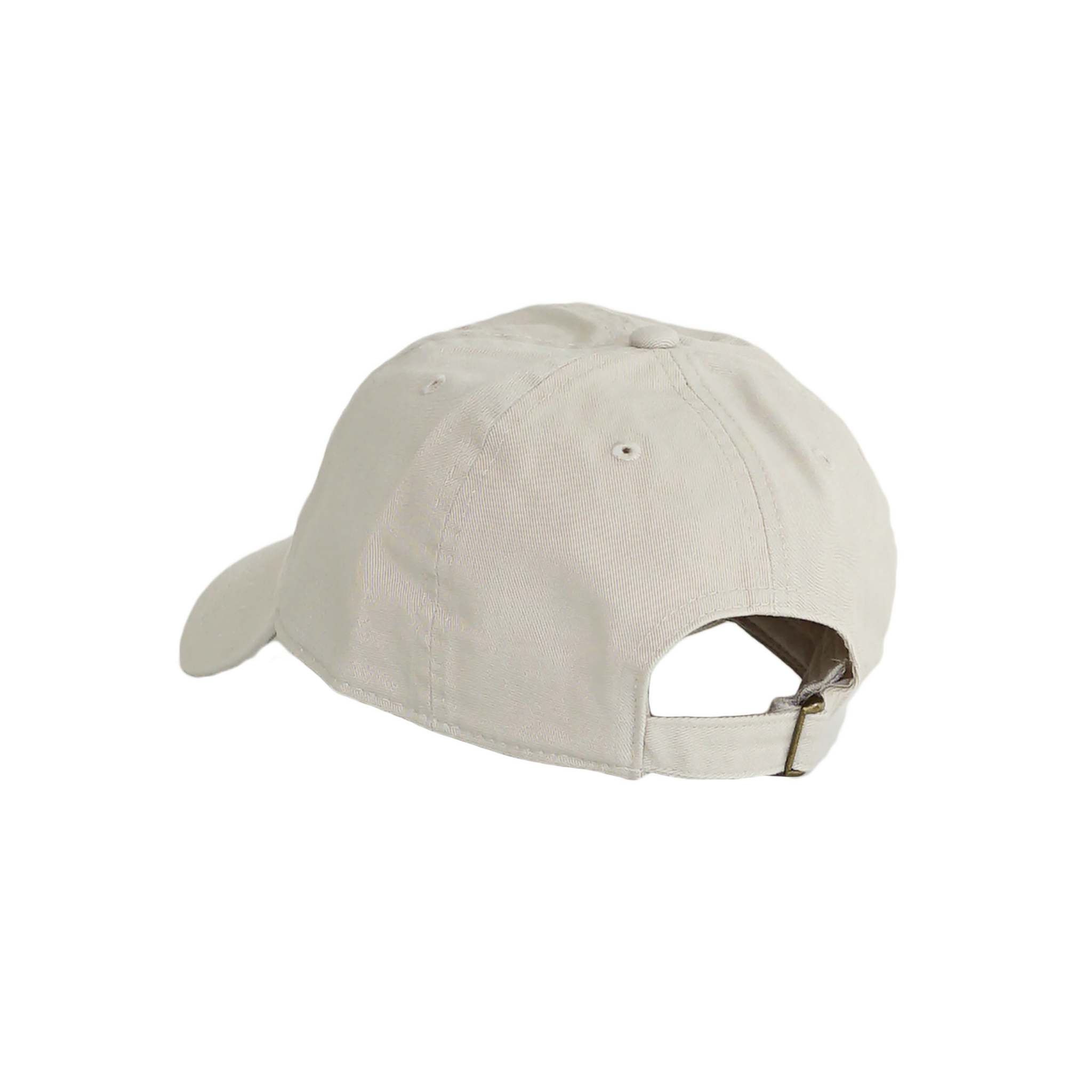 P Johnson Beige Fish Dad Cap