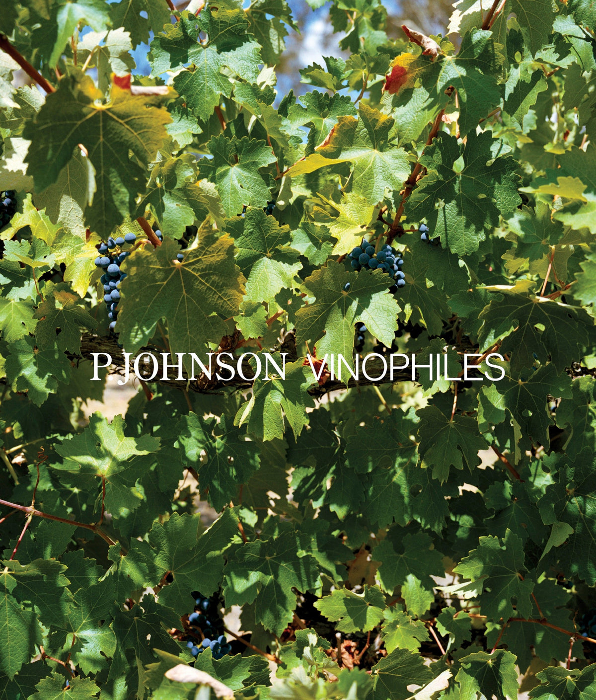 P JOHNSON VINOPHILES