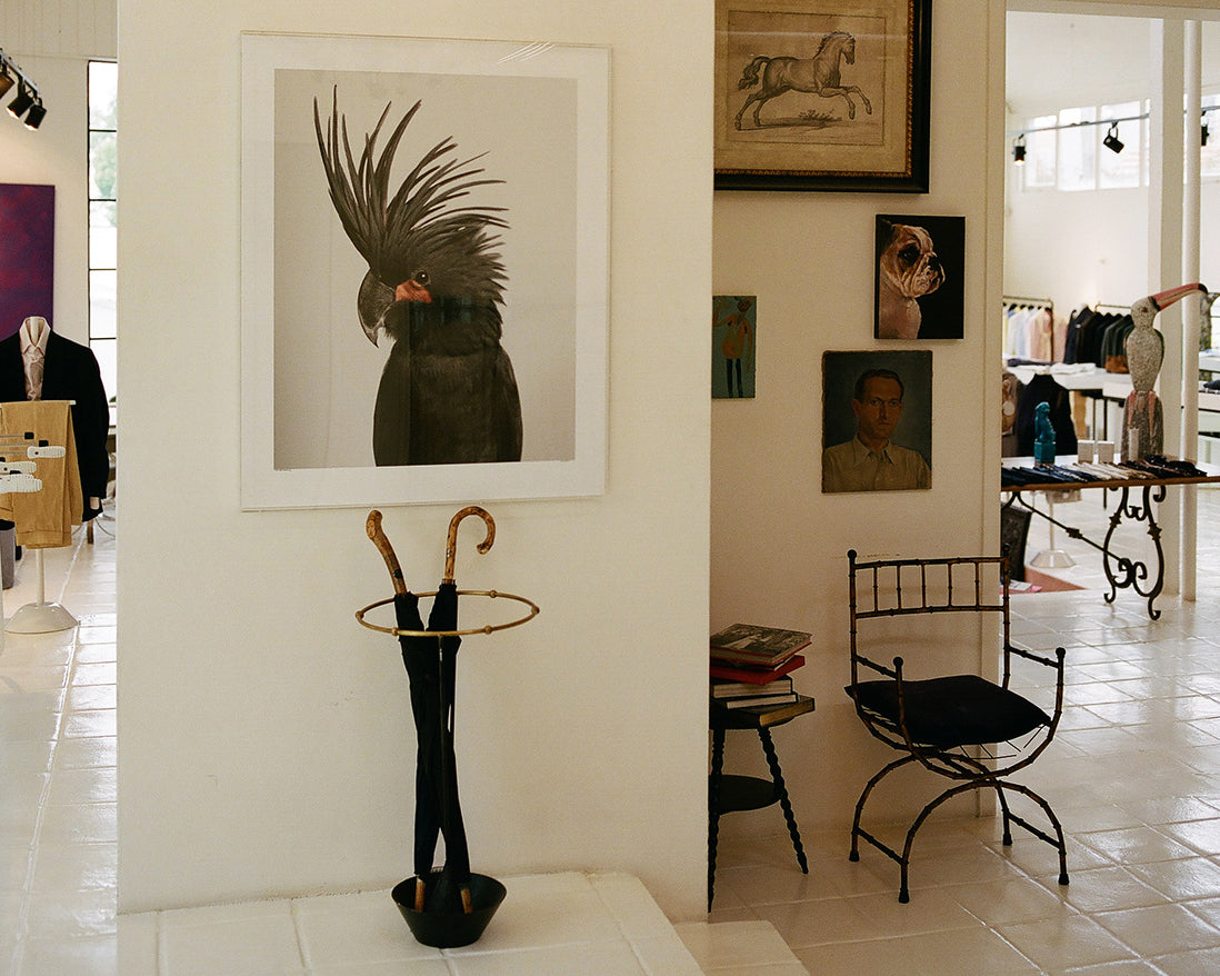 Showroom image 3